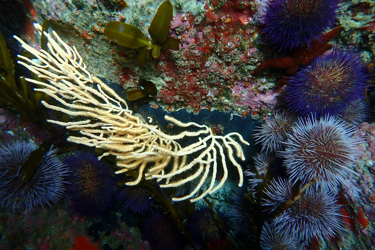 P4240070