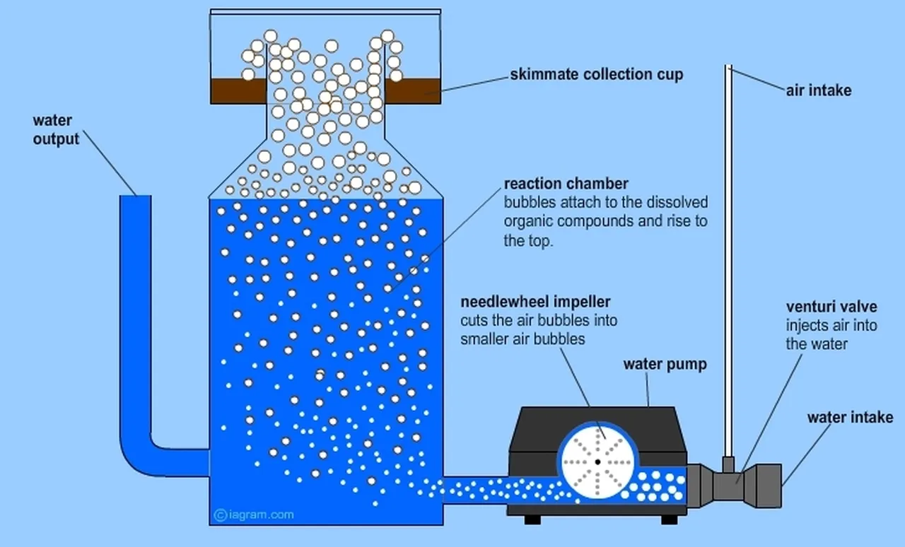 Diagram protein skimmer