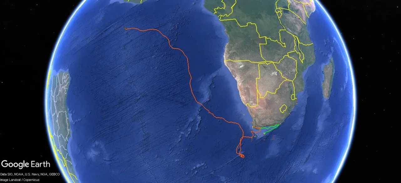 Tracking our turtles: Cruising the currents with Kai and Nori