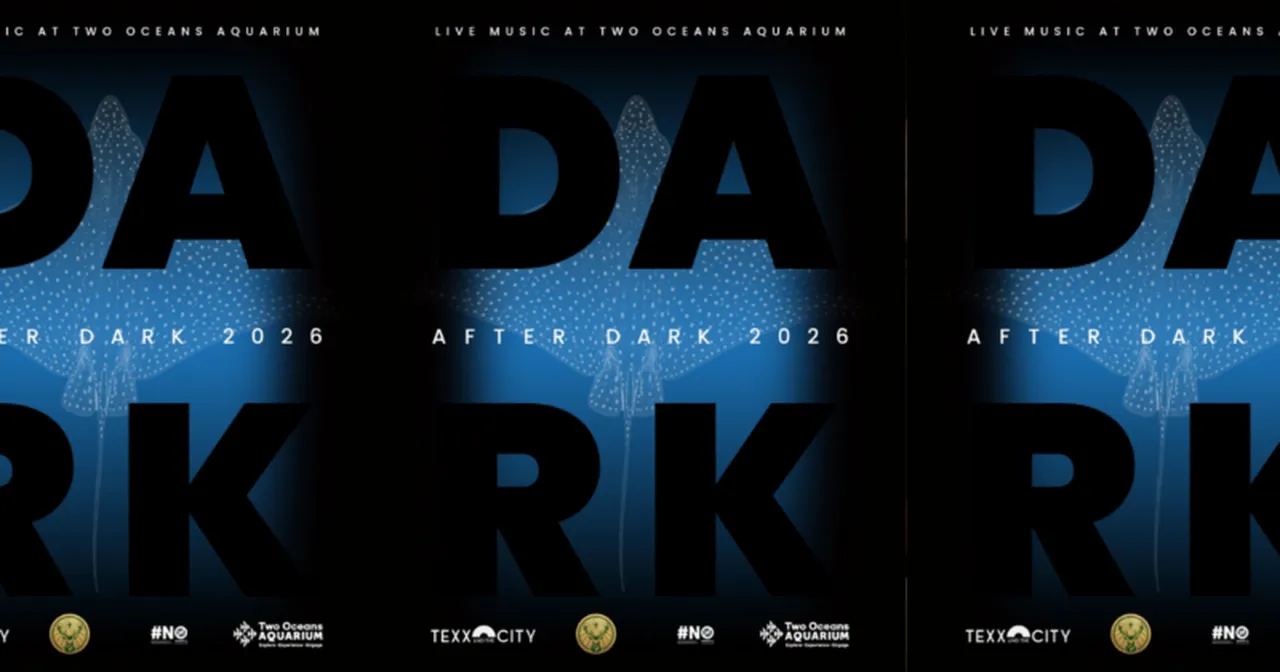 Presenting: After Dark 2023 winter concerts
