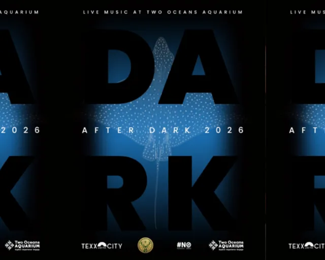 After Dark winter concerts at the Two Oceans Aquarium