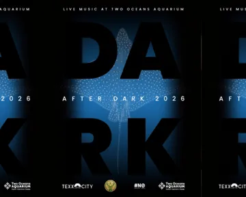 After Dark winter concerts at the Two Oceans Aquarium
