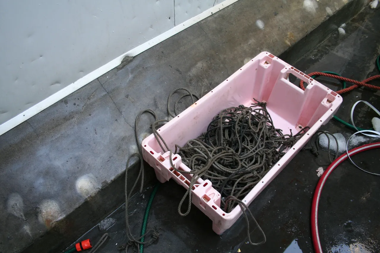 IMG 5669