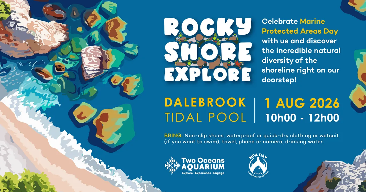 Rocky Shore Explore: Join us at Dalebrook to celebrate MPA Day