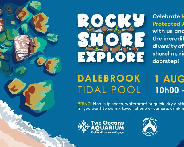 Rocky Shore Explore: Join us at Dalebrook to celebrate MPA Day