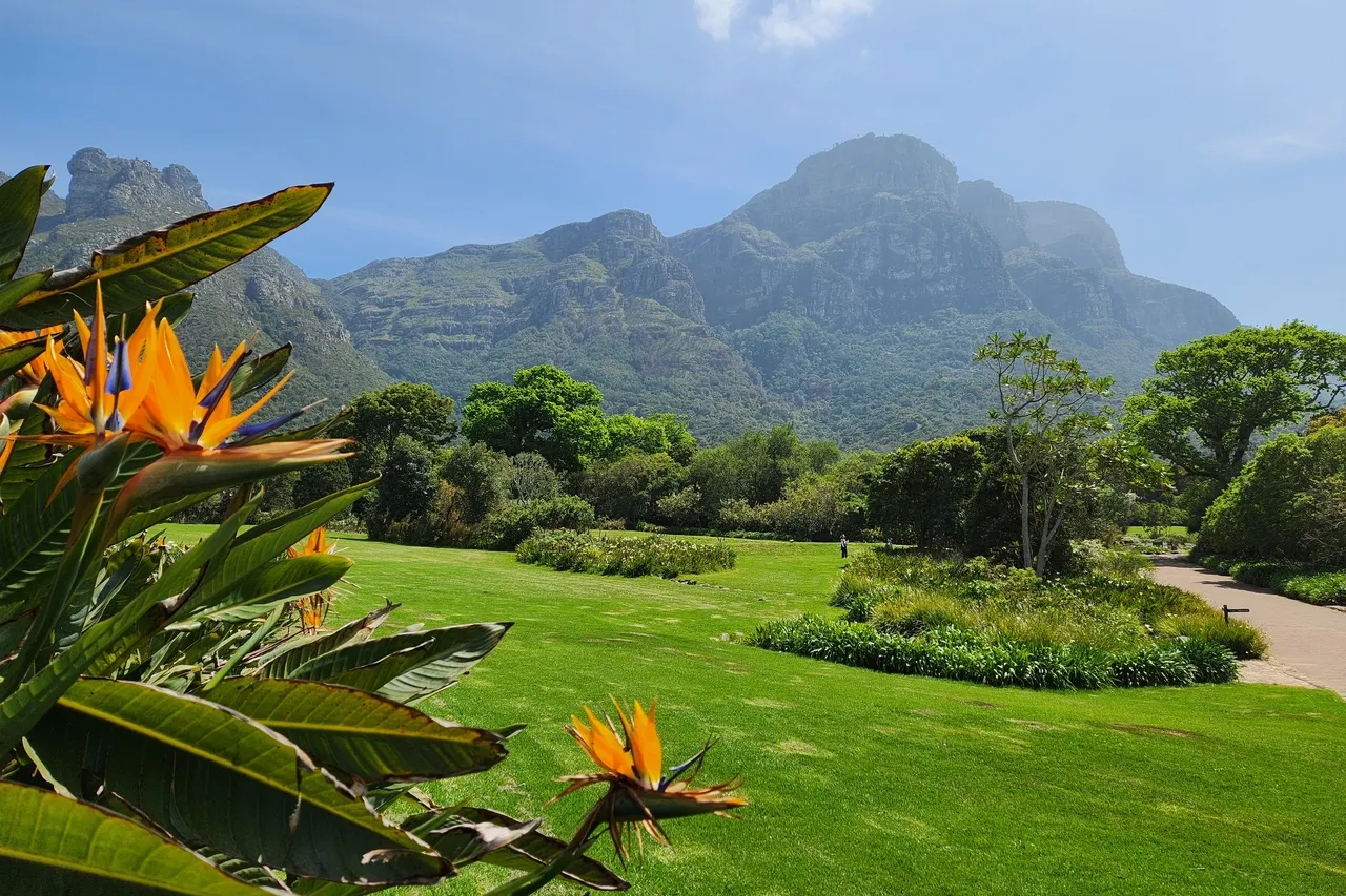 Kirstenbosch National Botanical Garden 2024 7th batch 09