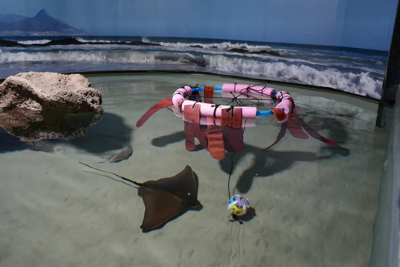 Our first-ever Animal Enrichment Workshop was a waving success!