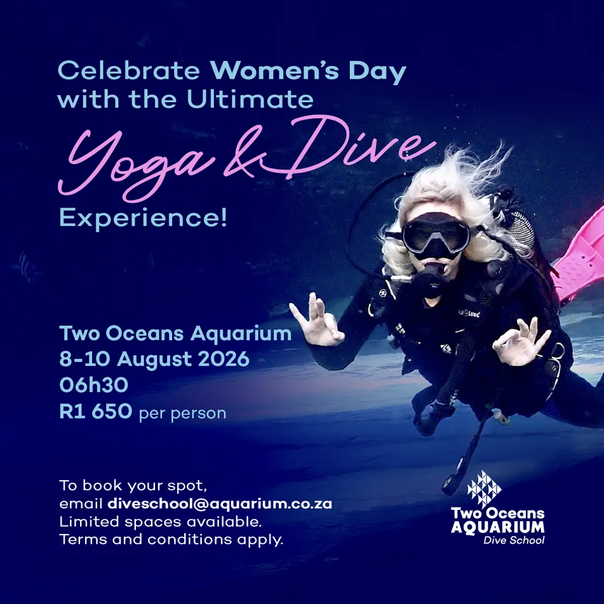 Womans day dive ad IG