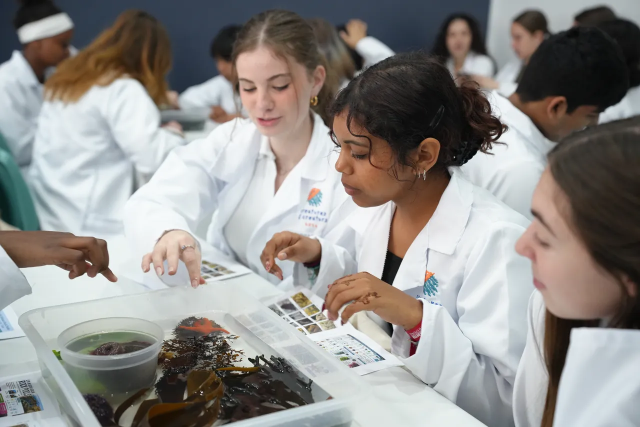 Creatures & Creators returns: A one-day dive into design, science, and touch
