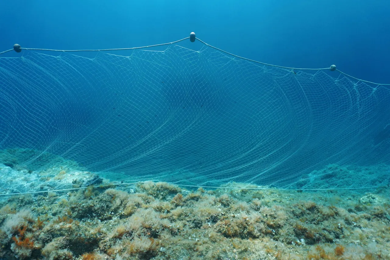 Gill nets catching fish 2048x1365
