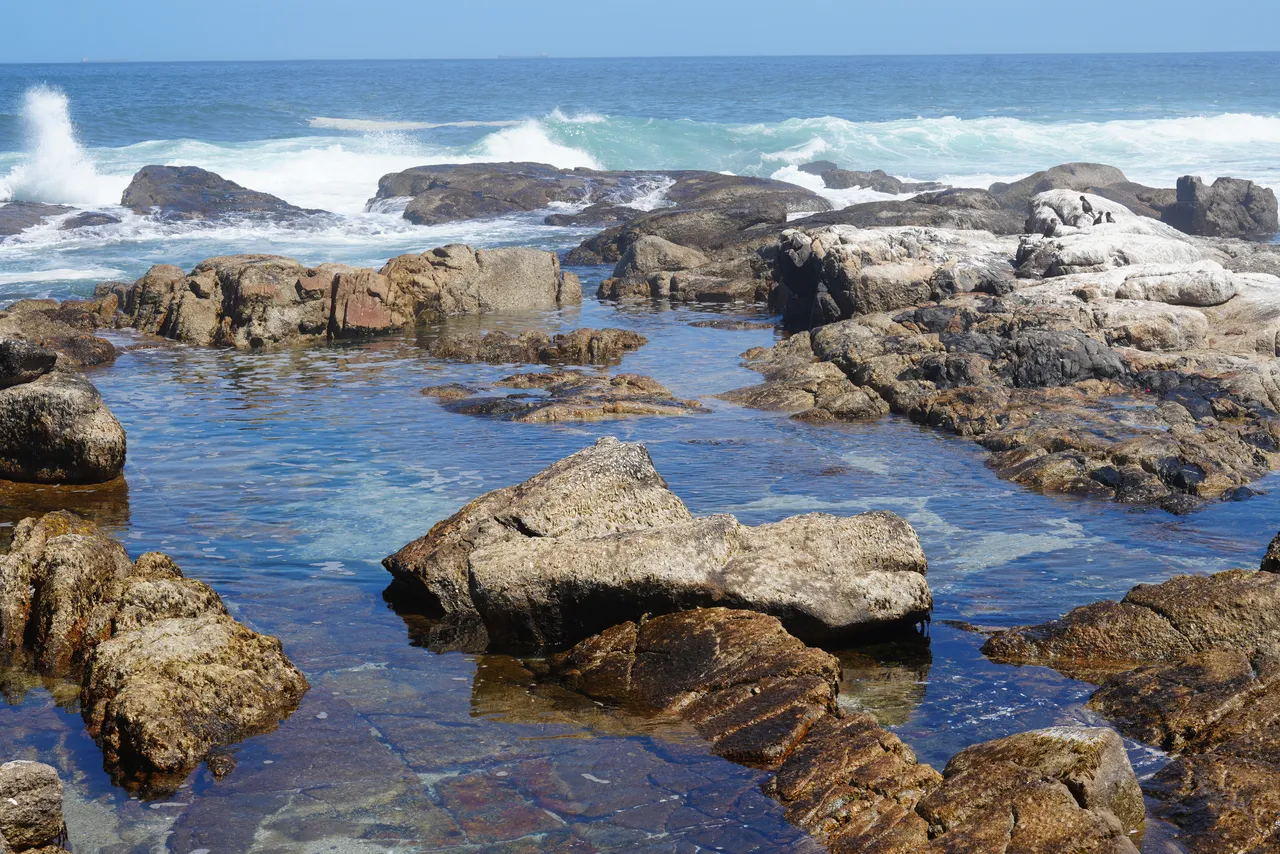 30x30 Countdown: With Four Years to Go, Are We on Track to Protect the Ocean?