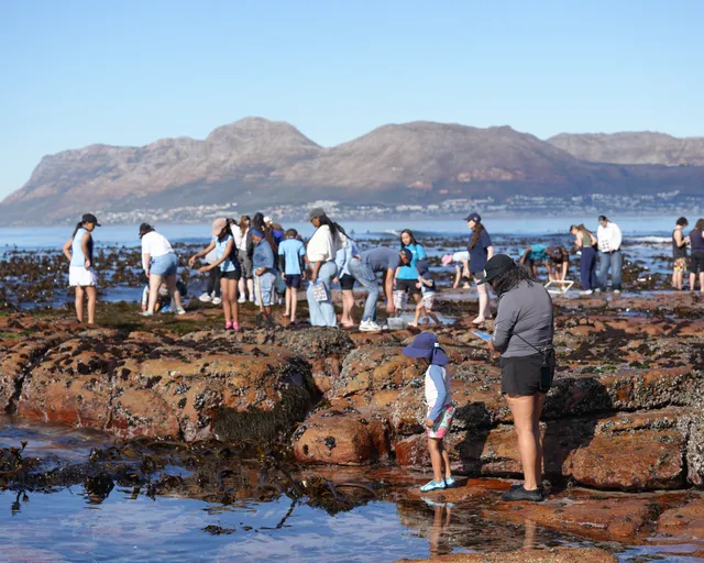 The Two Oceans Aquarium celebrated MPA Day 2026 with a Rocky Shore Explore