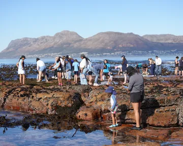 The Two Oceans Aquarium celebrated MPA Day 2026 with a Rocky Shore Explore