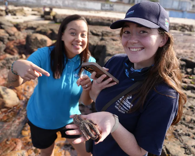 Applications for Marine Sciences, an official school subject for Grades 10–12, are now open