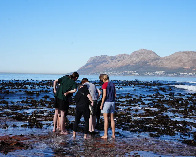 South African-born MPA Day Makes a Global Splash with Record-Breaking 2026 Celebrations