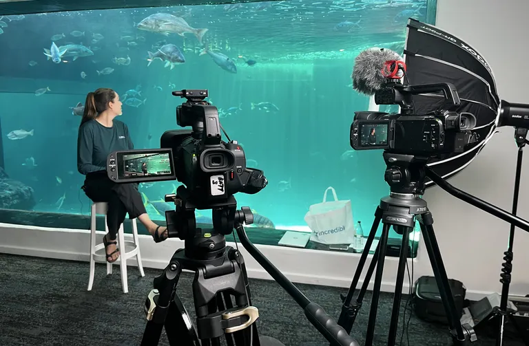 BTS Martine Viljoen Interview Aquarium 2 credit Jerome Stationway JPG