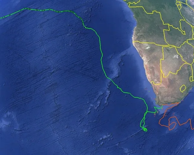 Tracking our turtles: Twirling travels with Nori and Kai