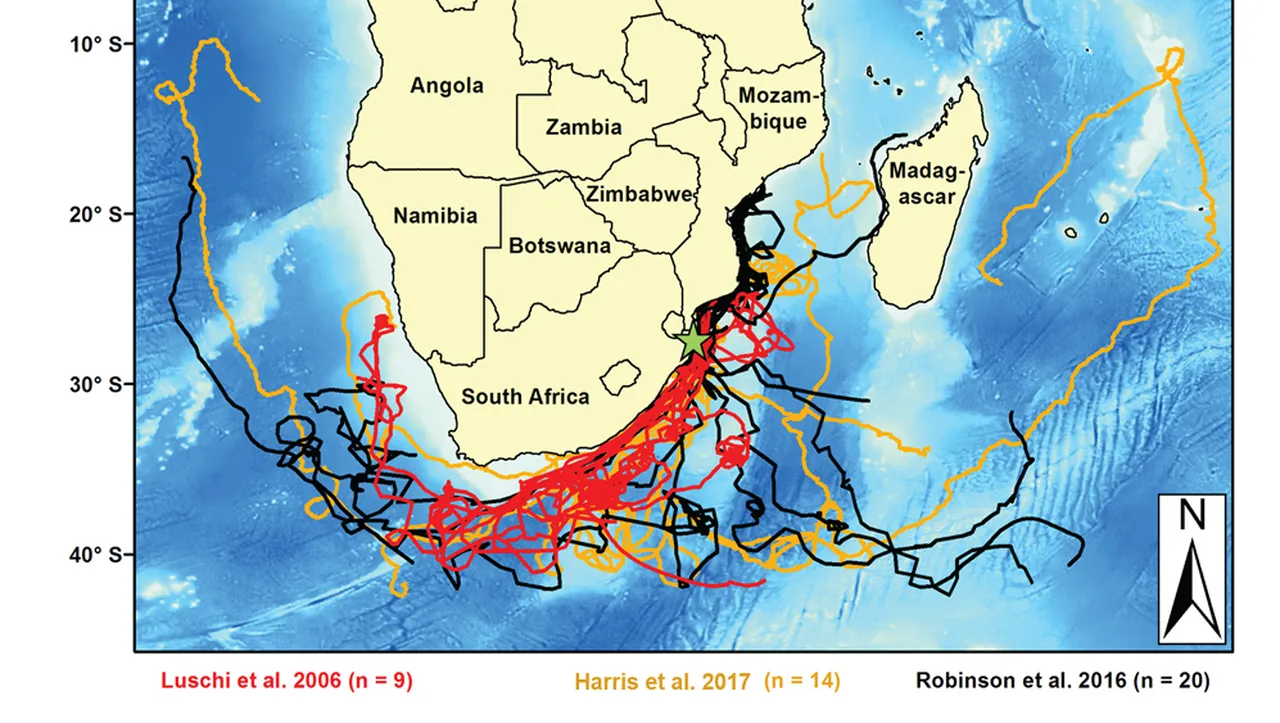 Robinson et al 2018