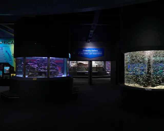 Two oceans, one incredible underwater world