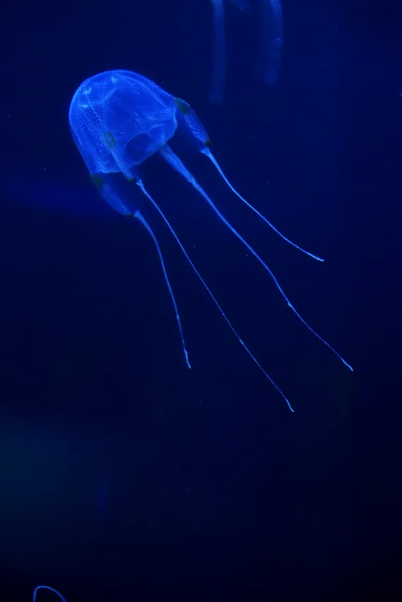 DSC02643