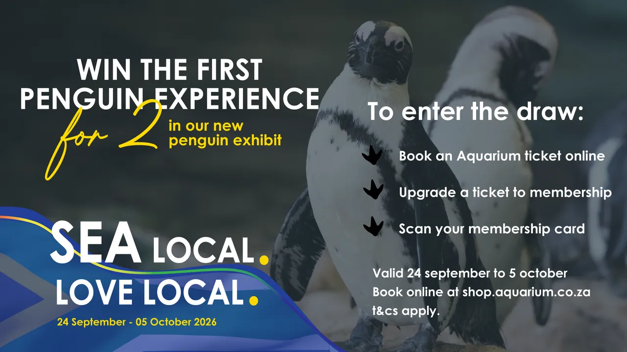 Sea Local Competition Blog