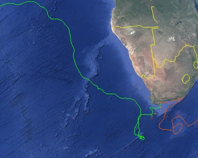 Tracking our turtles: Underwater mountain ranges and mystery routes