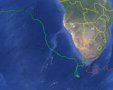 Tracking our turtles: Nori, the green turtle's last update