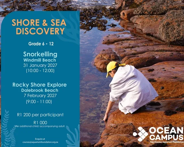 Grades 6 - 12 Shore & Sea Discovery