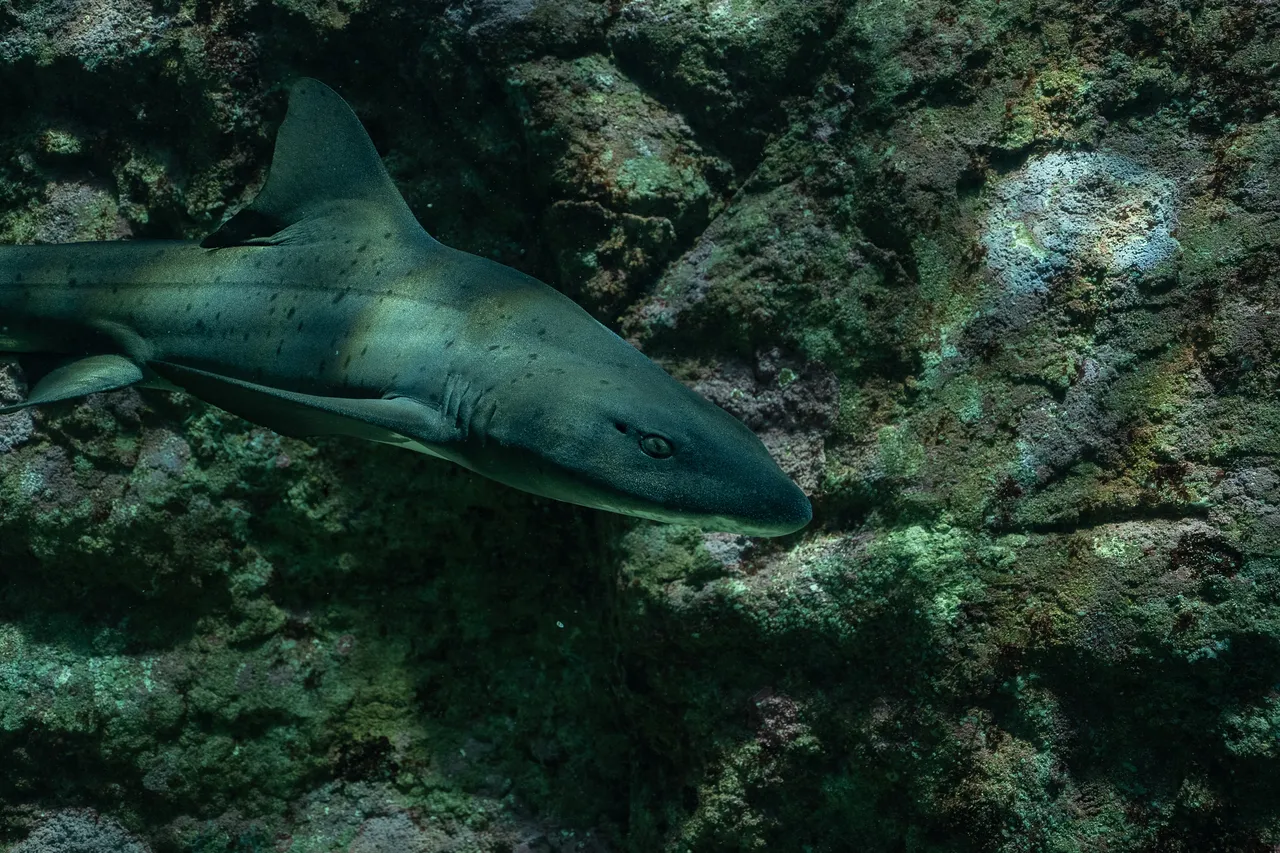 DSC07361