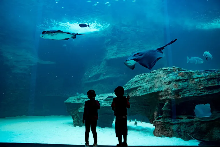 Ocean Exhibit