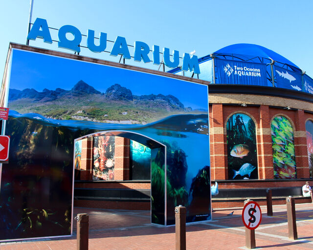 Two Oceans Aquarium: Media Pack