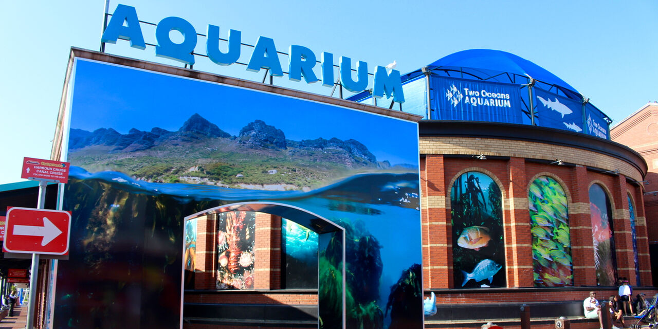 Two Oceans Aquarium: Media pack