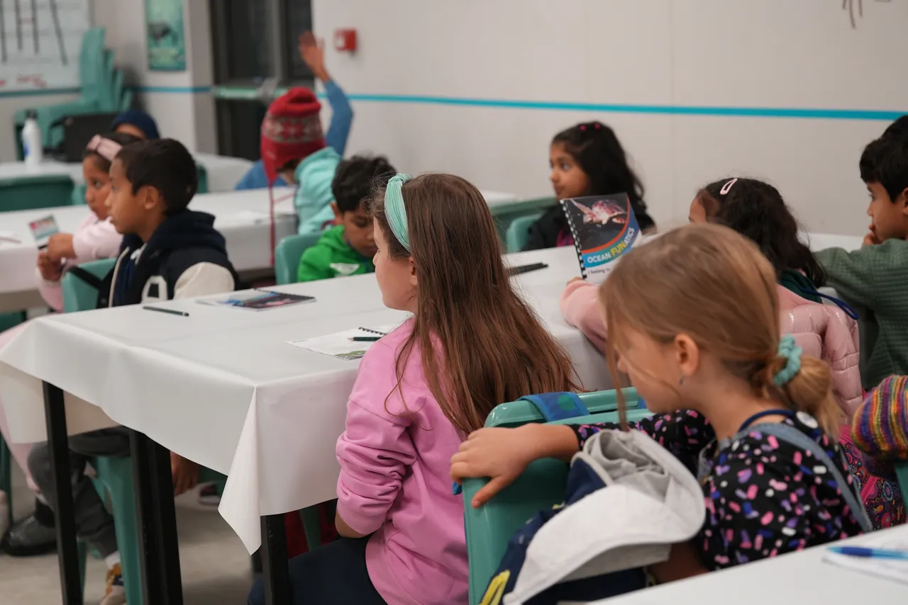 Ocean Funatics: A little something for our little ones