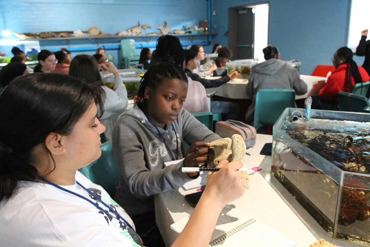 Dive into discovery: The Young Biologist Course inspiring tomorrow’s marine scientists