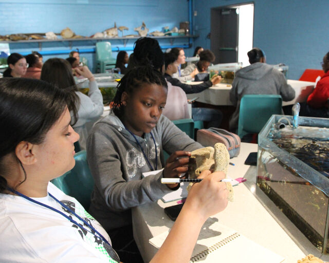 Dive into discovery: The Young Biologist Course inspiring tomorrow’s marine scientists