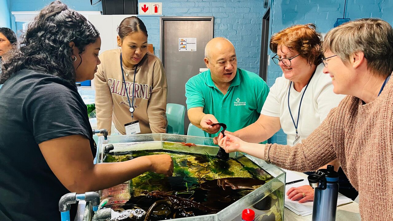 Adults interested in volunteering at the Aquarium, this one is for you!