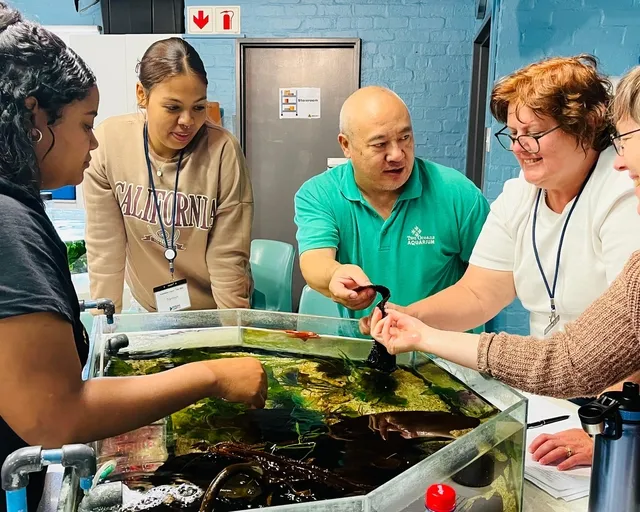 Adults interested in volunteering at the Aquarium, this one is for you!