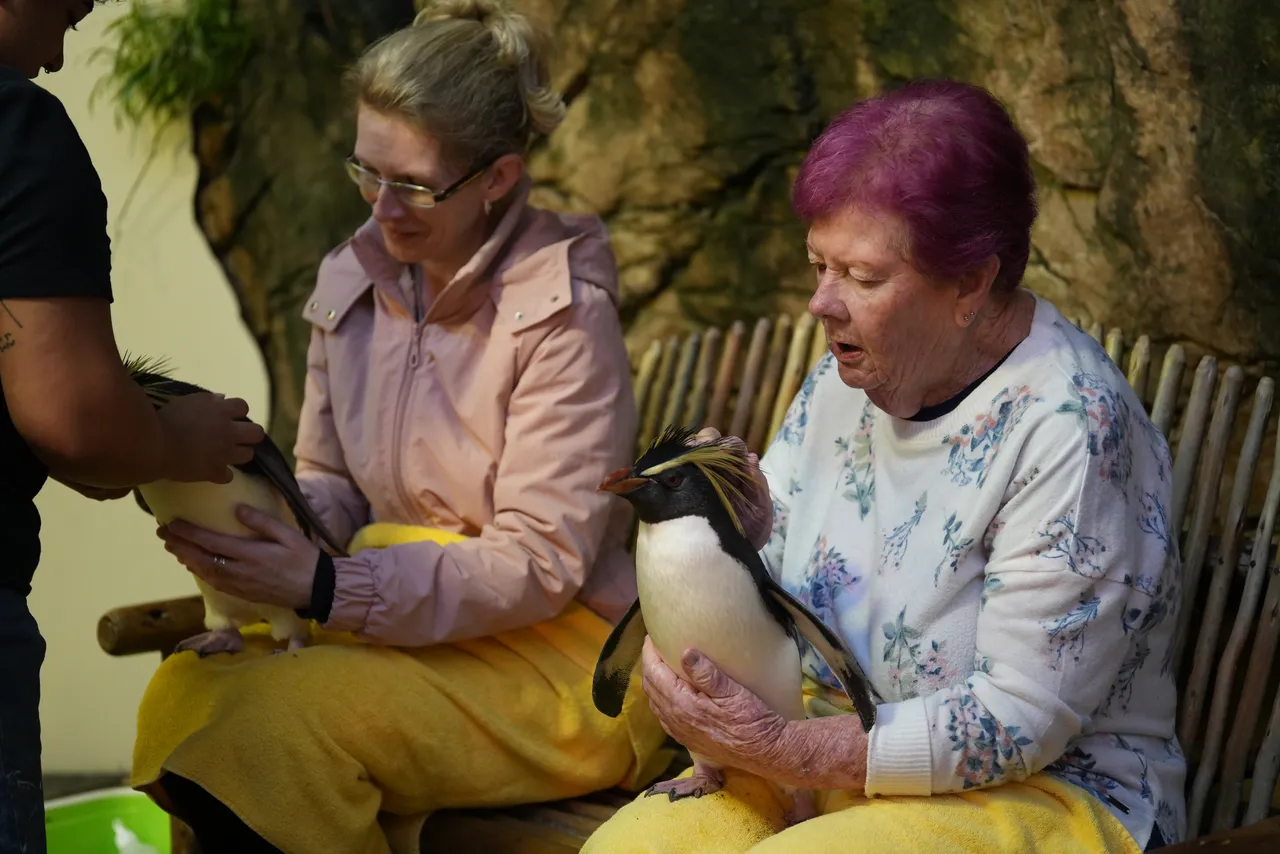 Get up close and personal with some of our ocean ambassadors