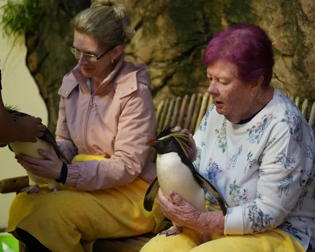 Get up close and personal with some of our ocean ambassadors