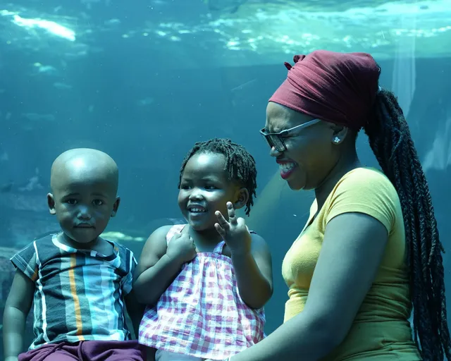 Ocean moms and why we love them