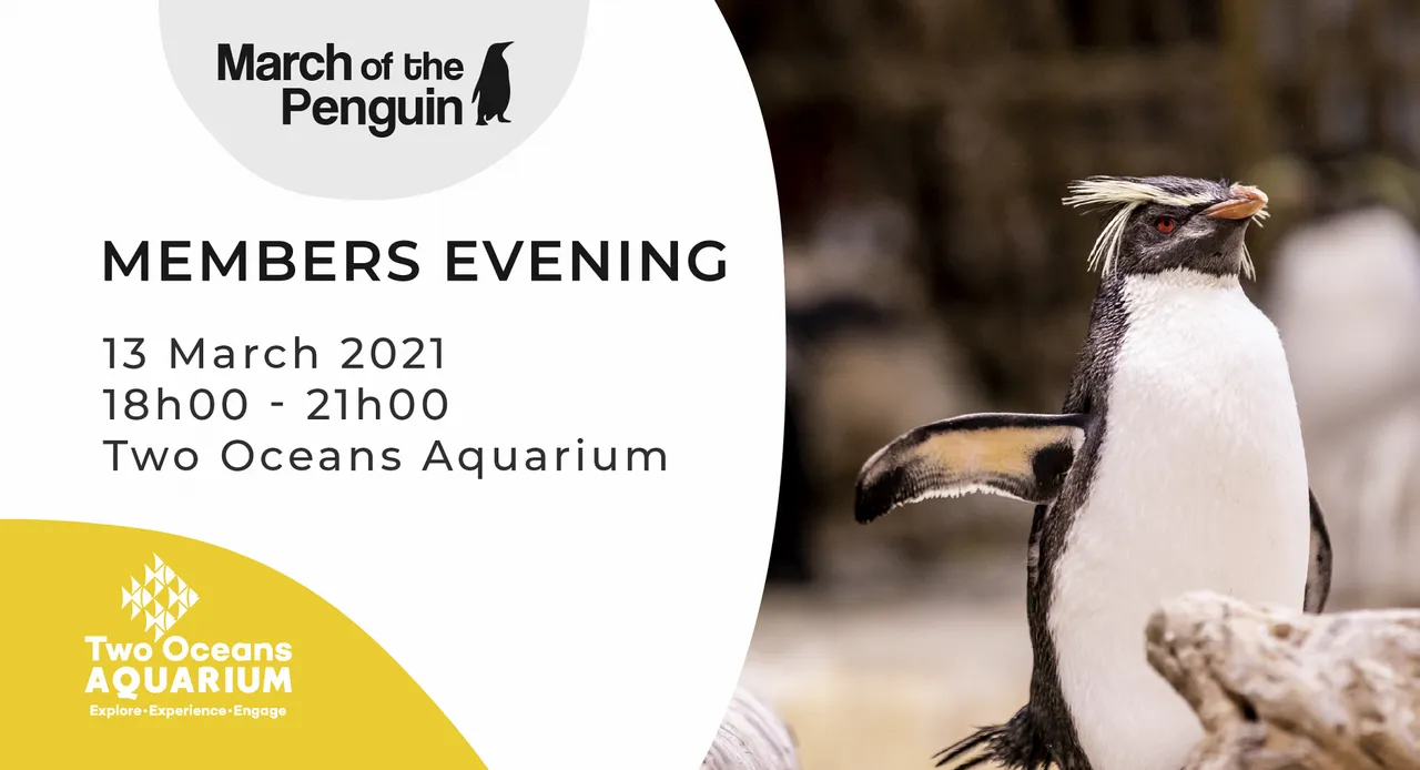 Members (plus penguins) only evening on 13 march 2021