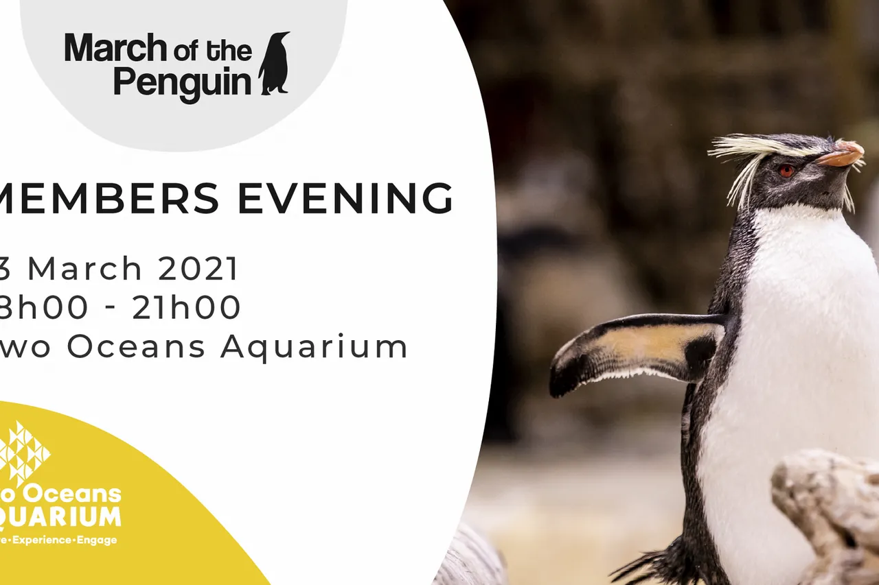 March of the Penguin Facebook 09