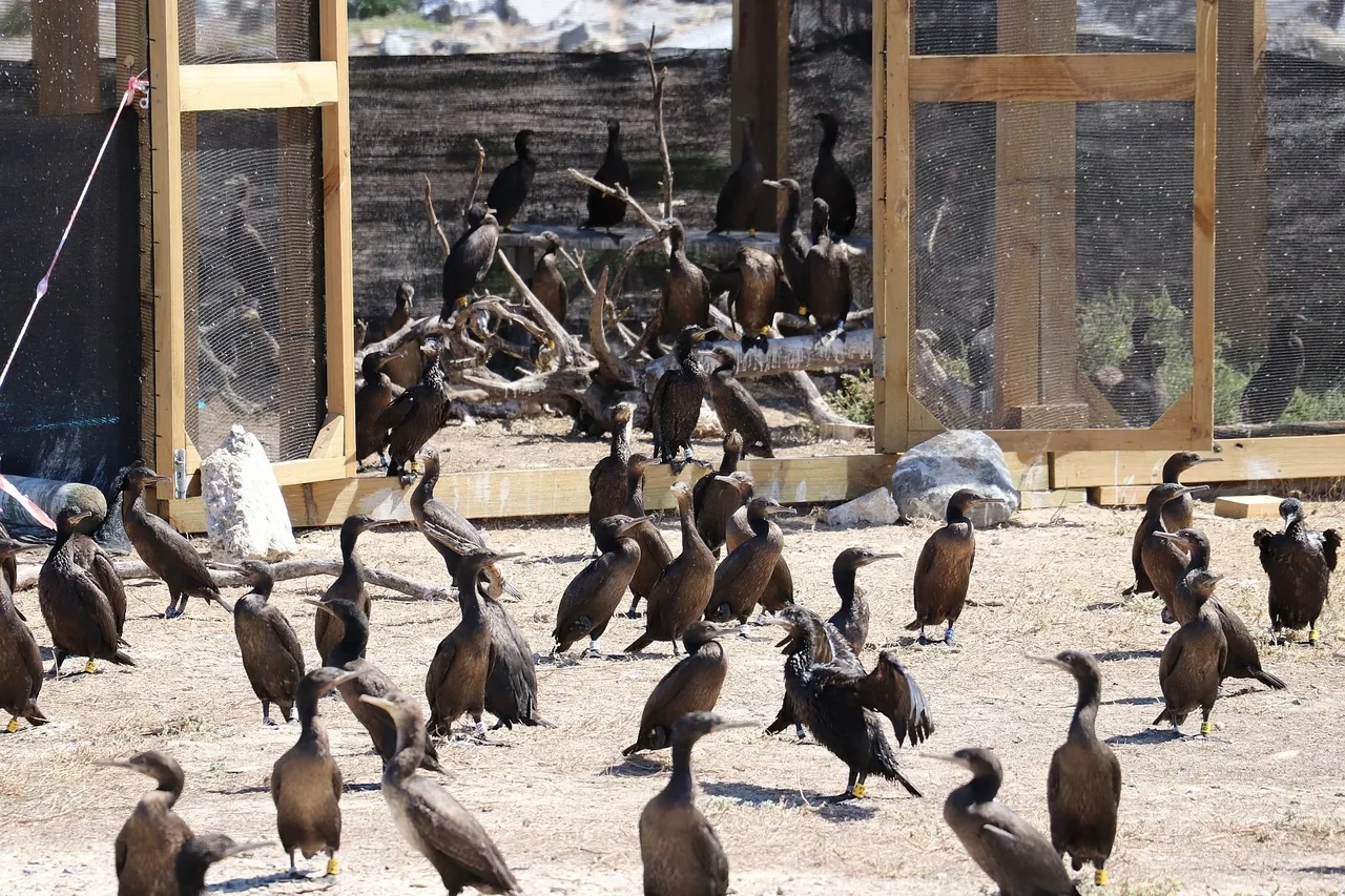 Credit Leon Niel Wauts 48