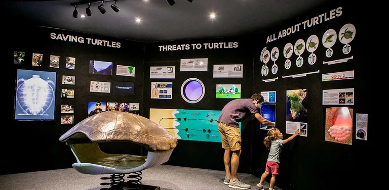 Diversity Gallery