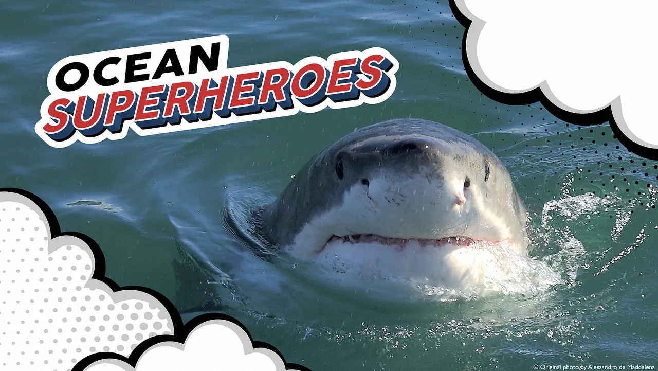 Sharks: heroes in disguise