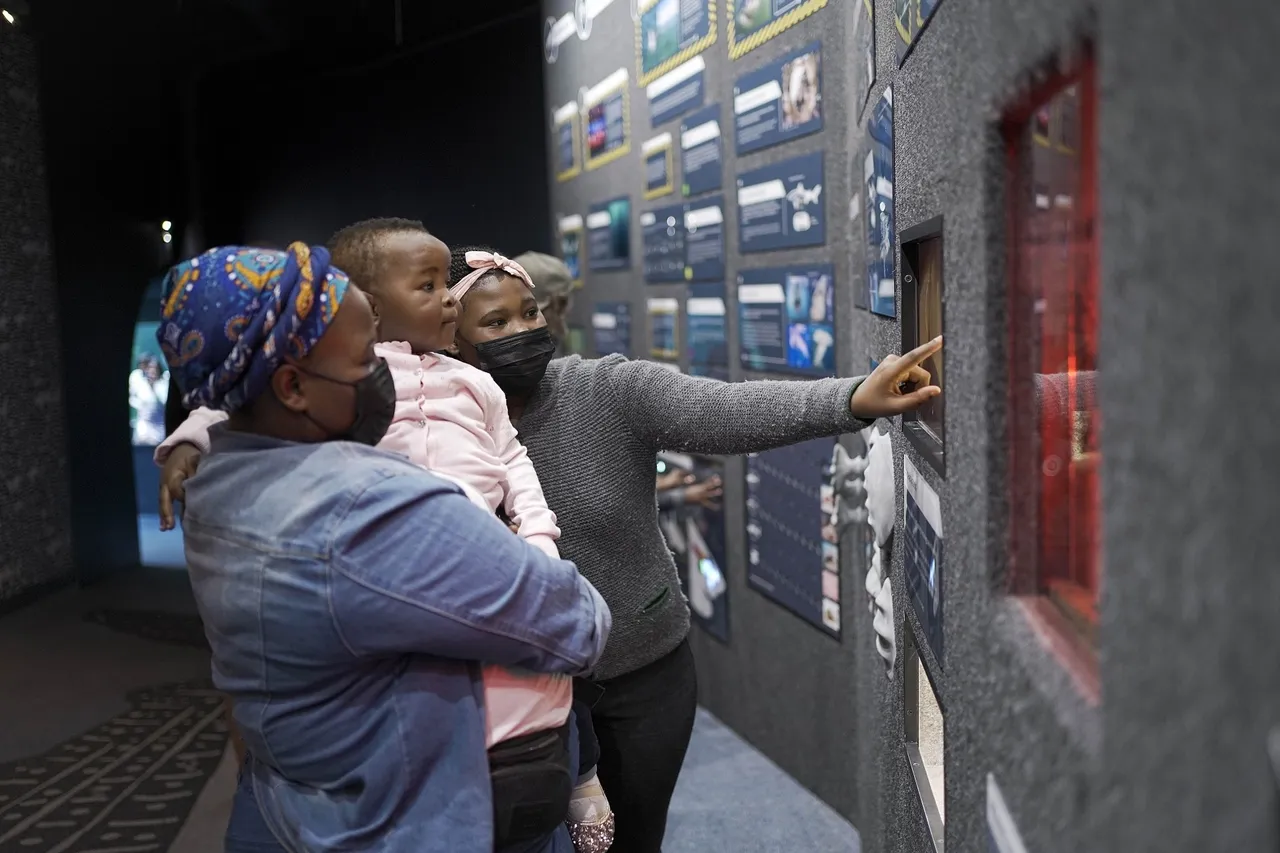 Visitors Shark Alley