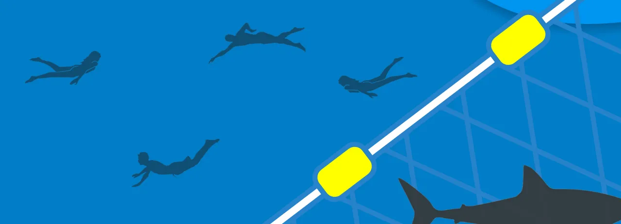 Shark smart swim: aquarist leigh is swimming 13km for local shark conservation