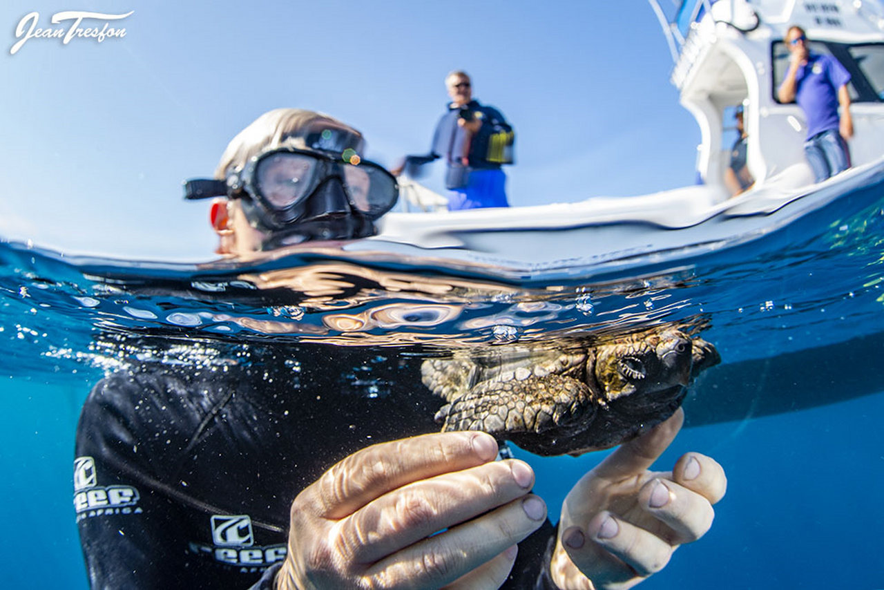 Creating awareness: sharing knowledge is the most important part of the turtle rescue programme
