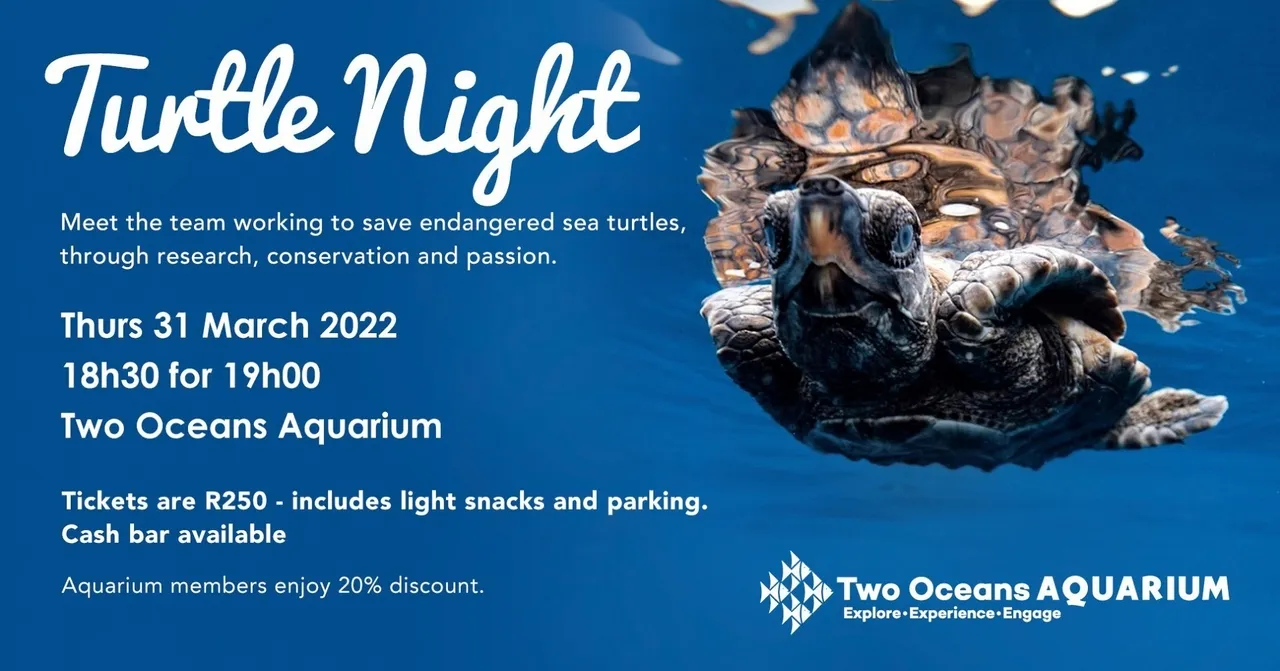 Turtle night: meet the team working to save sea turtles on 31 march 2022