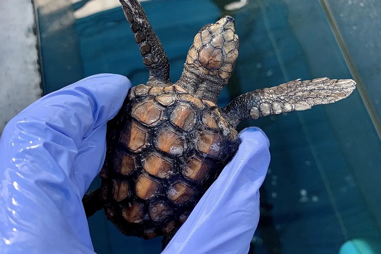 1457 BE31 F5 D0 40 D3 BE19 587 EA039 AD2 D